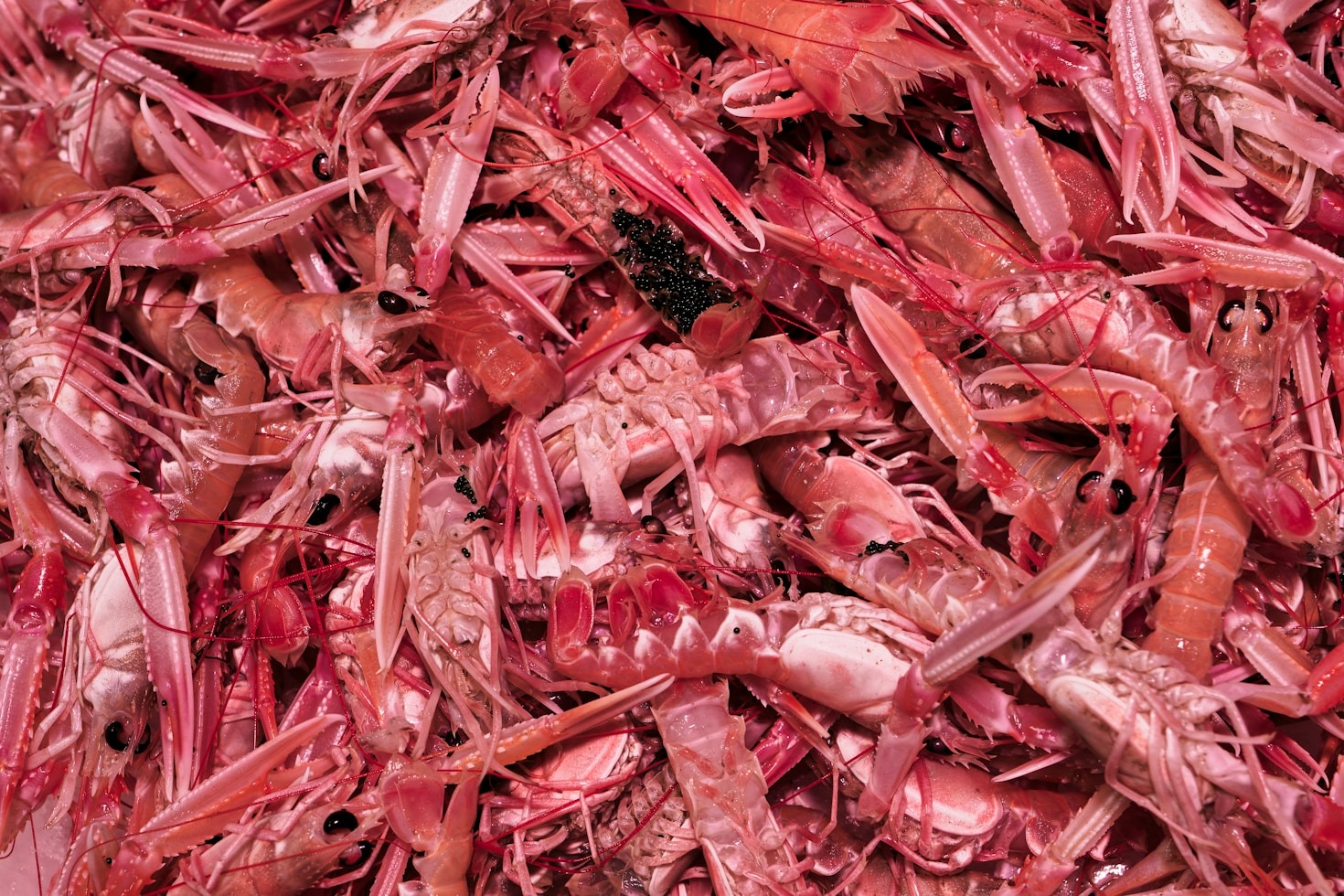 Exploring the Flavors of Local Farmers’ Markets