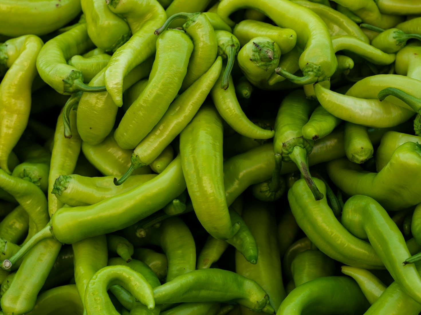 Exploring the Flavors of Local Farmers’ Markets