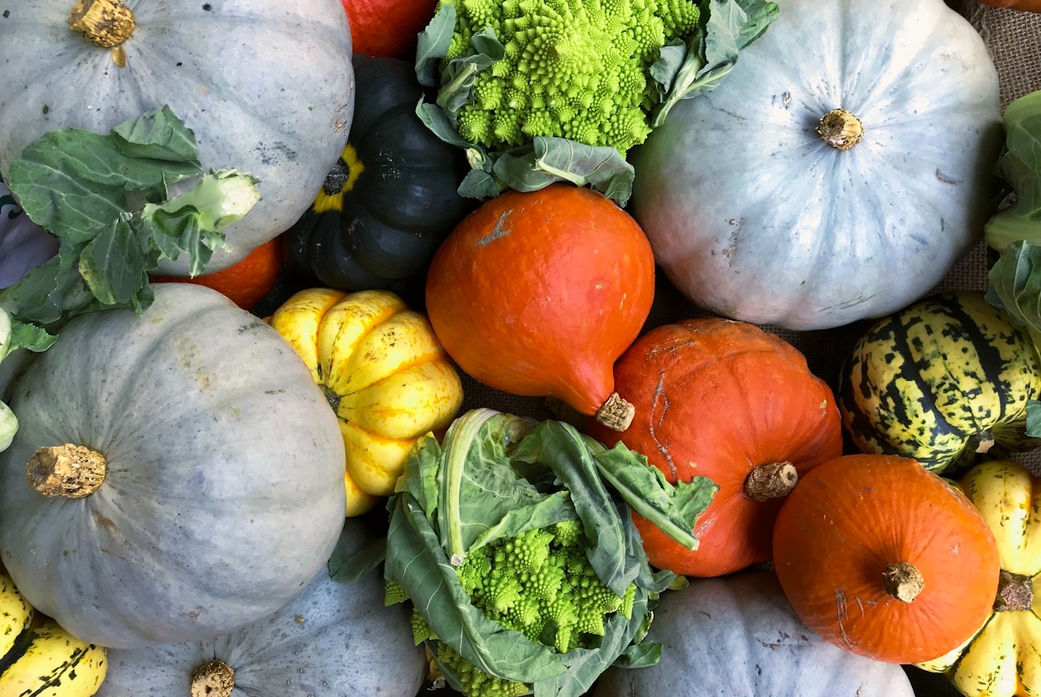 Unmissable Food Festivals Happening This Year